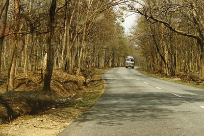 Road amidst trees in forest