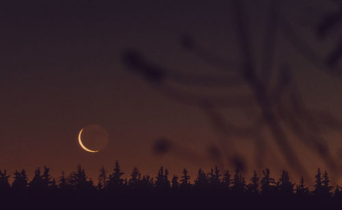 Low angle view of silhouette trees against sky at night