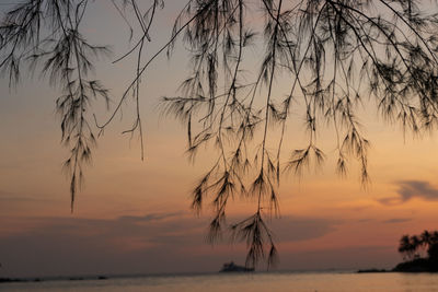 Silhouette plants by sea against romantic sky at sunset