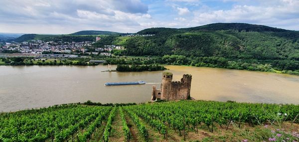 Burg ehrenfels / castle ehrenfels