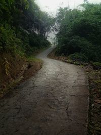 Road amidst trees against sky