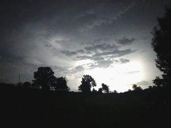 Low angle view of silhouette trees against sky