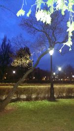 Illuminated street light against sky at night