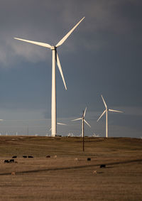 Wind turbines in field against cloudy blue sky at sunset
