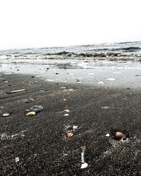 Scenic view of beach against clear sky