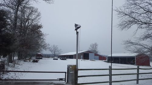 Bird perching on tree