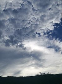 Low angle view of silhouette trees against sky