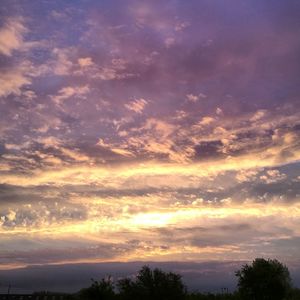 Low angle view of silhouette trees against dramatic sky