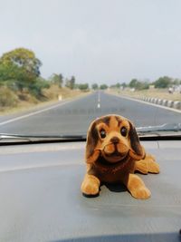 Close-up portrait of dog against sky