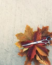 Directly above shot of scissors and maple leaves on table