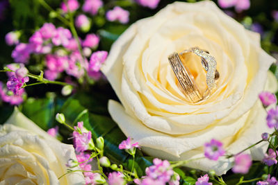 Close-up of rose bouquet