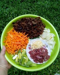 Close-up of hand holding food