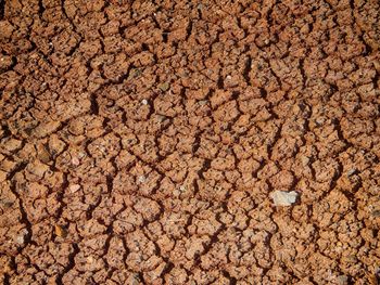 Full frame shot of cracked land