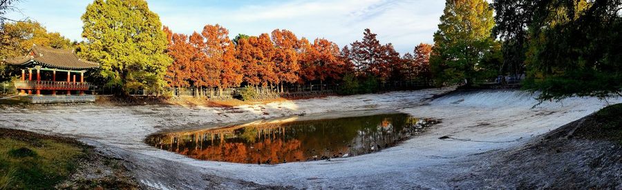 Plants growing by river against sky during autumn
