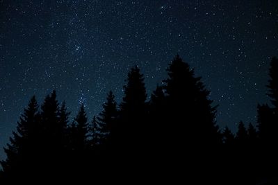 Low angle view of silhouette trees against sky at night