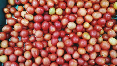 Full frame shot of tomatoes for sale at market stall