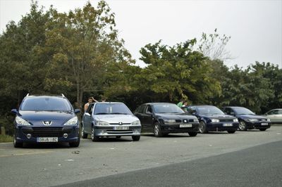 Cars on road against trees in city