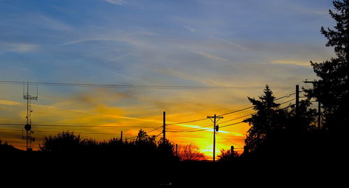 Silhouette of trees at sunset