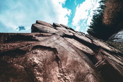 Low angle view of old wooden structure in forest