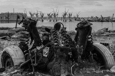 Damaged tree in field against sky