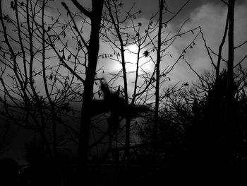 Silhouette trees against sky during sunset