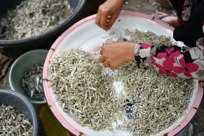 Midsection of woman preparing food or anchovy