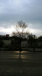 Bare tree by street against buildings in city