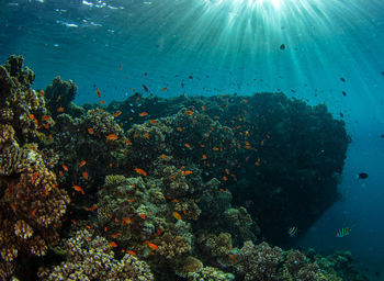 underwater