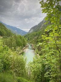 Scenic view of waterfall in forest against sky