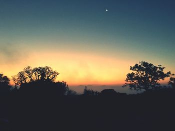 Silhouette of trees against sky at dusk