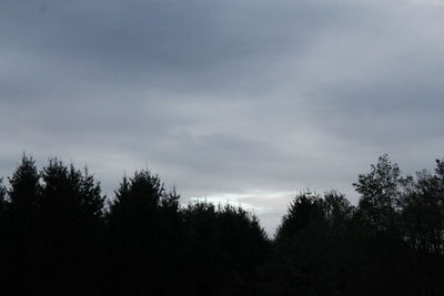 Low angle view of trees against cloudy sky