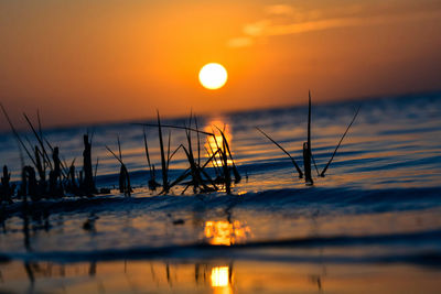 View of calm sea at sunset