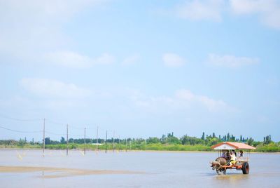 View of water buffalo crossing river against sky