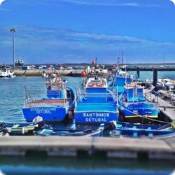 Boats in harbor