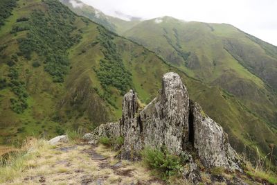 Scenic view of landscape