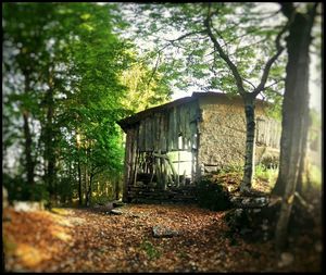 Built structure with trees in background