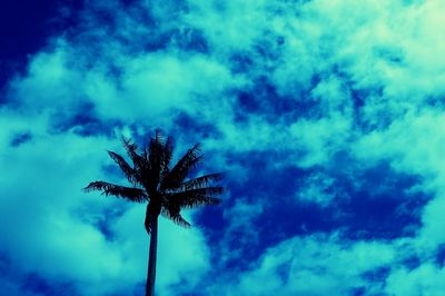 Low angle view of palm tree against cloudy sky