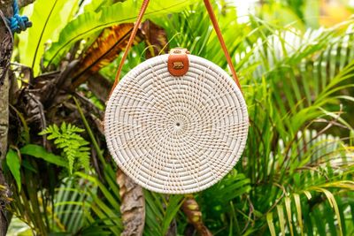 Close-up of spiral stone on tree