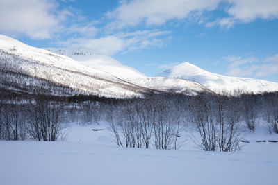 Snow covered mountains against sky