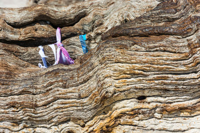 Close-up of rock formation