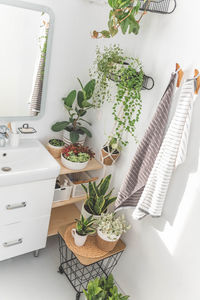 High angle view of potted plant on table