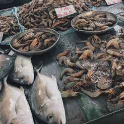 High angle view of fishes for sale in market