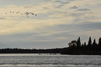 Birds flying over lake against sky during sunset