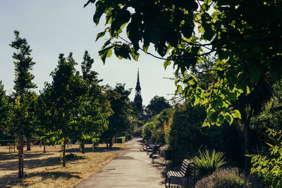 Footpath amidst trees in park against sky