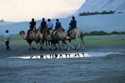 People sitting on camels against sky