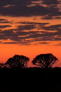 Silhouette trees on landscape against orange sky