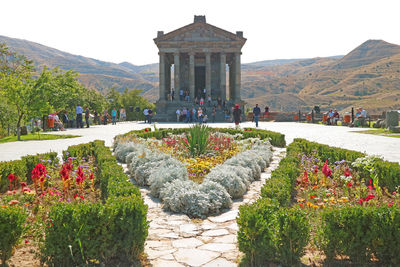 View of flowers in garden