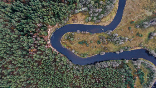 High angle view of road amidst trees