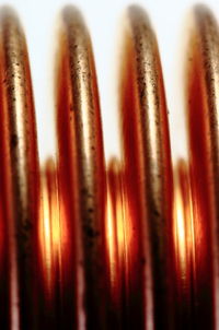 Close-up of water drops on plant