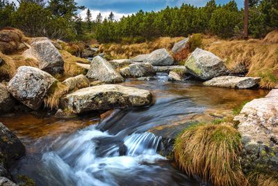 River flowing through rocks